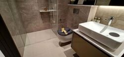 Irwell Hill Residences (D9), Apartment #467710491